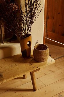 IMG_1235.JPG