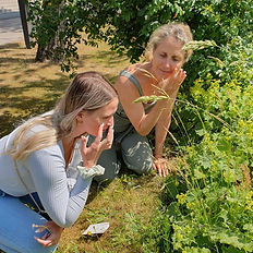 Frühling, Natur, Kräuter entdecken