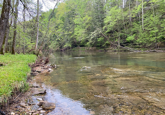 Wolf River, Tennessee; photograhed by Kortne Huffman 2021