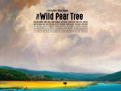 The Wild Pear Tree (Sydney Film Festival Review)
