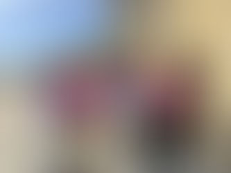 City and Neighbor support: Volunteers Distribute Flyers for the 2026 Lunar New Year Festival on 1/11/2026