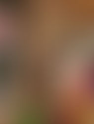 SMILE 4 Special Needs (#253): Pearland My PlayClub #31 on December 6, 2025