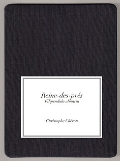 Lepo fermé-REINE-web 18.17.54.jpg