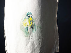 2012-Prints Mesanges-007-WEB.jpg