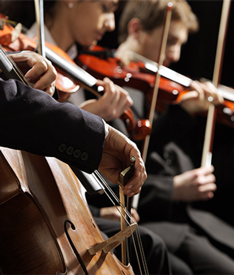 Quarteto de cordas