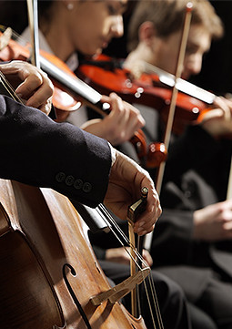 String Quartet