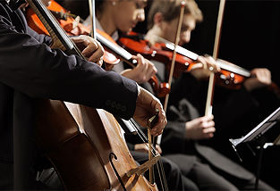 Quarteto de cordas