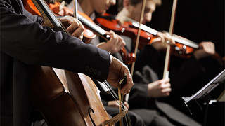 Musiciens