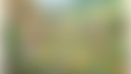 Behind The Art: Hamlet