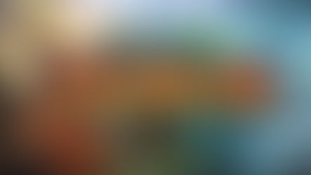 DragonLord Miniset - A Speculative Journey!