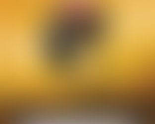 The Best Cards Currently in Sorcery!