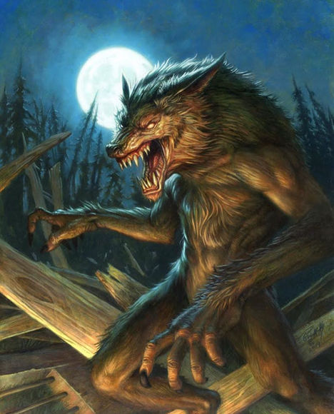 Alan Pollack
Moon Clan Werewolf
Sorcery: Contested Realm TCG