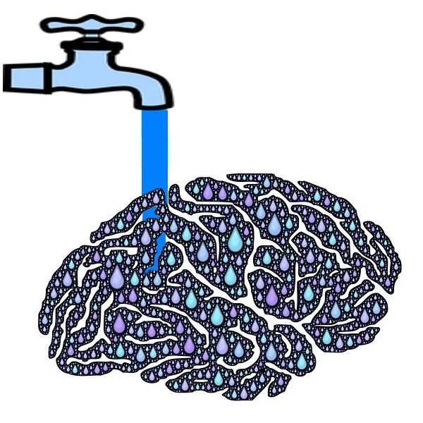 image of spigot washing brain