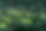 andrew-small-kVSRMyc7x6s-unsplash 2.jpg