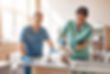 AdobeStock_260006437.jpeg