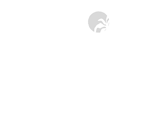 KR_Standard_White 1.png