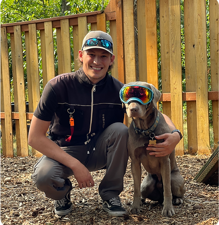DogBGood, training, obedience, dog