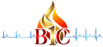 Battalion 1 Consultants