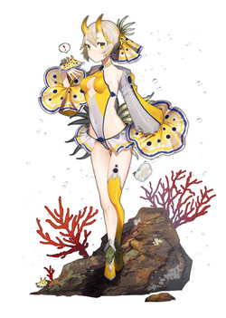 オトヒメウミウシ