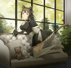 ねこ