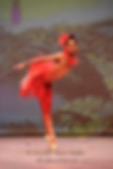 _EFF6341_edited.jpg