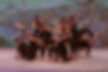 _EFF6595_edited.jpg