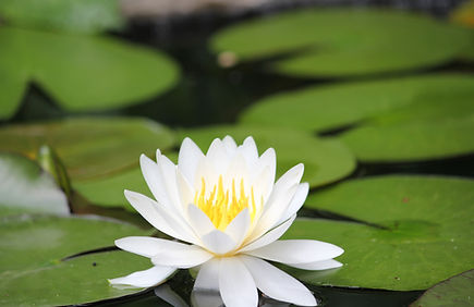 法事・年回忌・法要