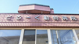 正面