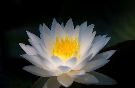 供養・納骨・墓地のご相談