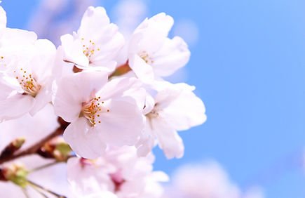 仏前結婚式・各種仏事