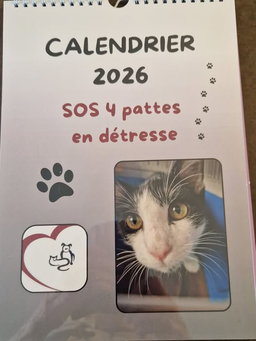 Vente calendrier de l'Asso 2026 10€