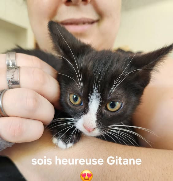 Gina (Gitane) 1er juin