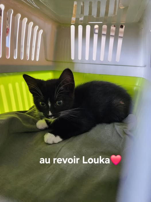 Nala (Louka) 30 mai