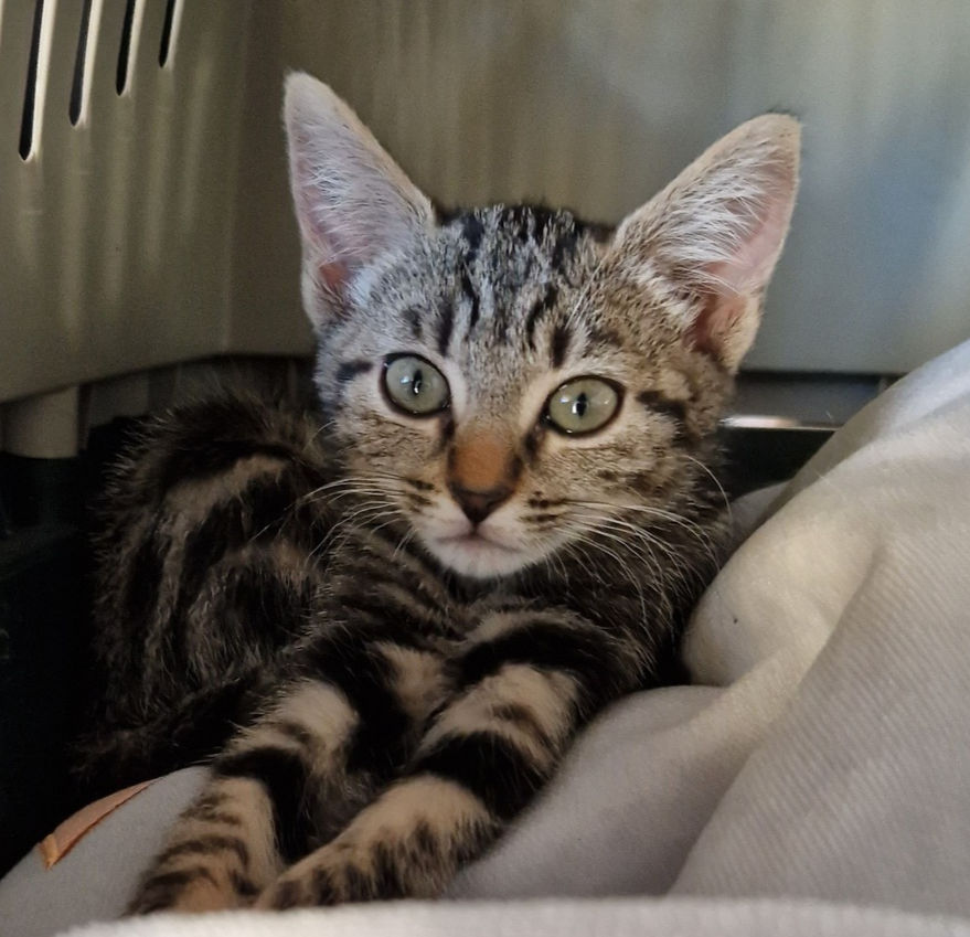 Midnight 29 novembre