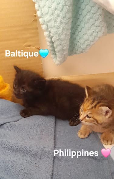 Salem et Nami 27 juin
