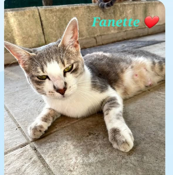 Fany (Fanette) 13 septembre