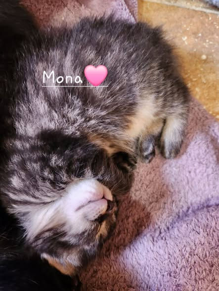 Pouille (Mona) 12 avril