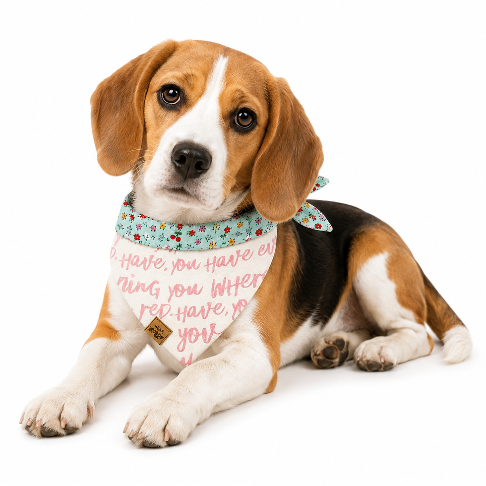 Thumbnail: Love Notes | Reversible Dog Bandana