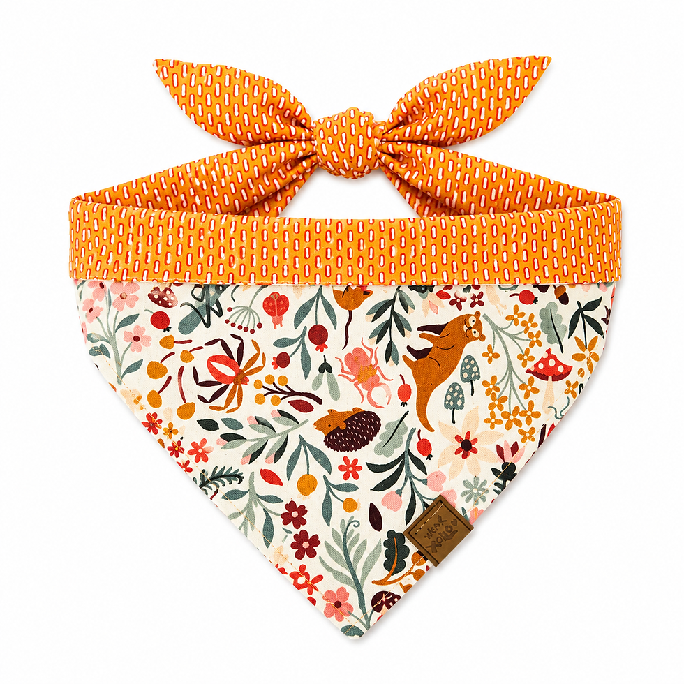 Thumbnail: Autumn Bloom | Reversible Dog Bandana