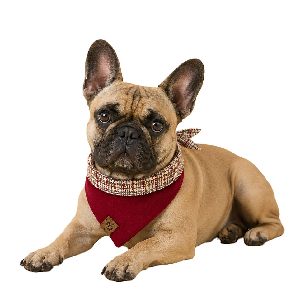 Thumbnail: Cozy Holiday | Reversible Dog Bandana