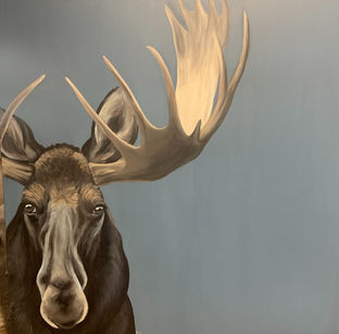 moose acrylic painting by Ally Krommendyk 
