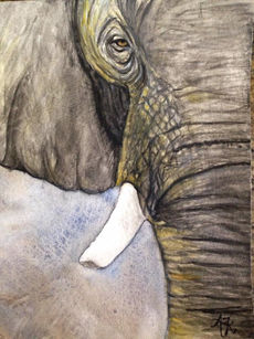elephant watercolor painting by Ally hulstein