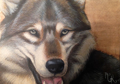 wolf watercolor painting by Ally Krommendyk
