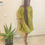 Thumbnail: Black and Yellow Dress