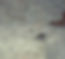 bg_texture.jpg