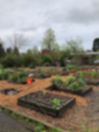 GardenVOL.jpeg