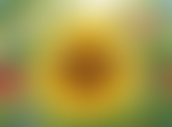 Primary Science: Seed Dispersal (Plants Reproduction)