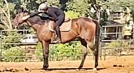 VideoCapture_20250903-105816_edited.jpg