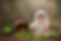 Ellie_Violet_Fineart.jpg