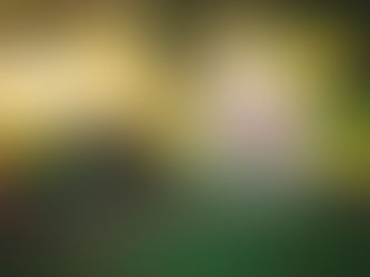 Now Booking Easter Bunny Sessions